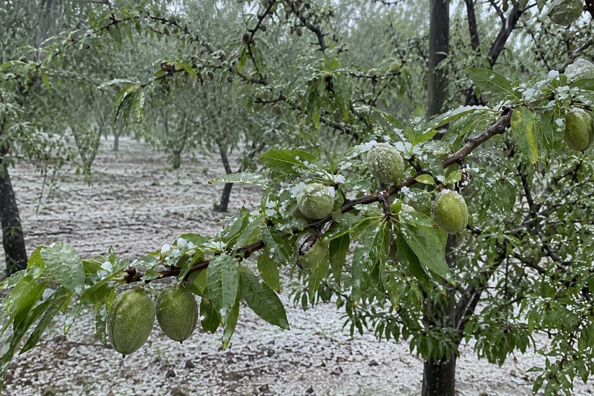 Un agosto de alto impacto por el granizo