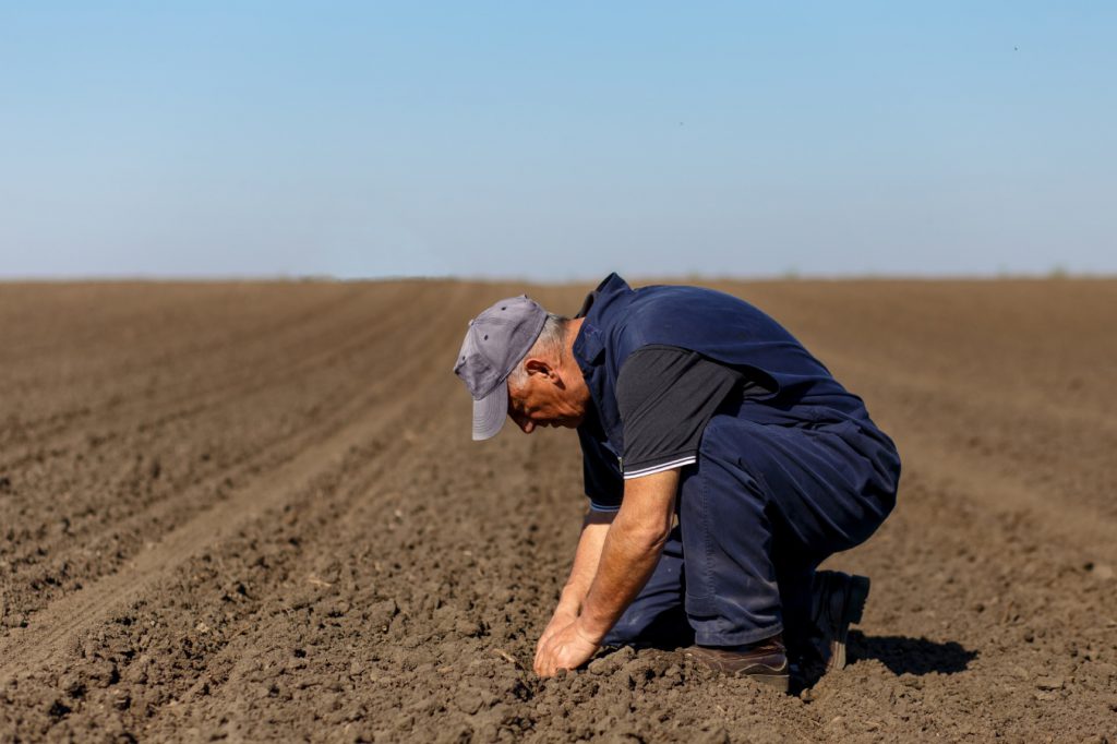 La agricultura entra en el terreno de la incertidumbre