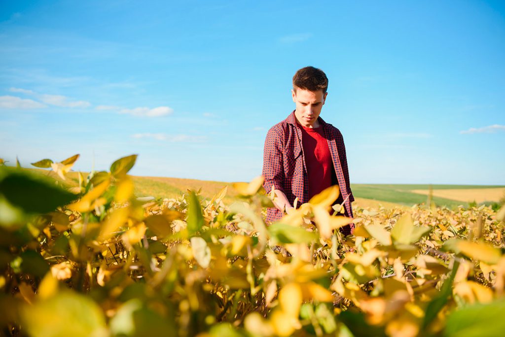 trabajo-relevo-generacional-campo